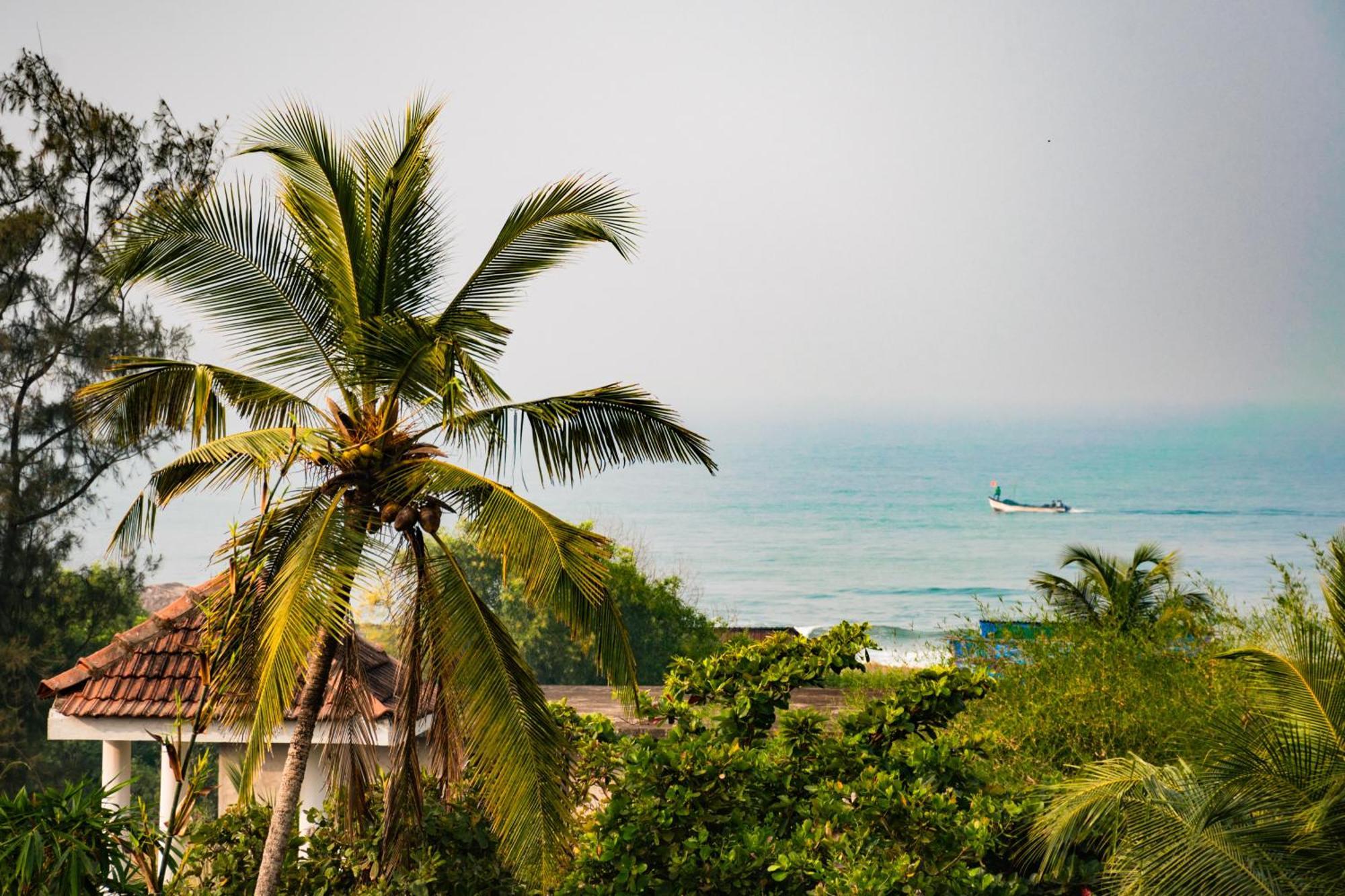 Last Minute Trip Hostel Morjim Bagian luar foto