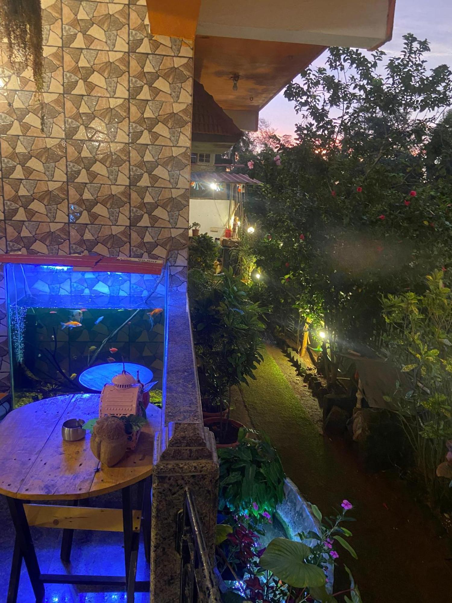 Last Minute Trip Hostel Morjim Bagian luar foto